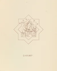 Crevette, 1878